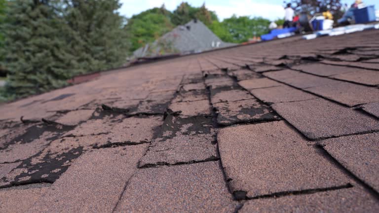 Best Chimney Flashing Repair  in Gustine, CA