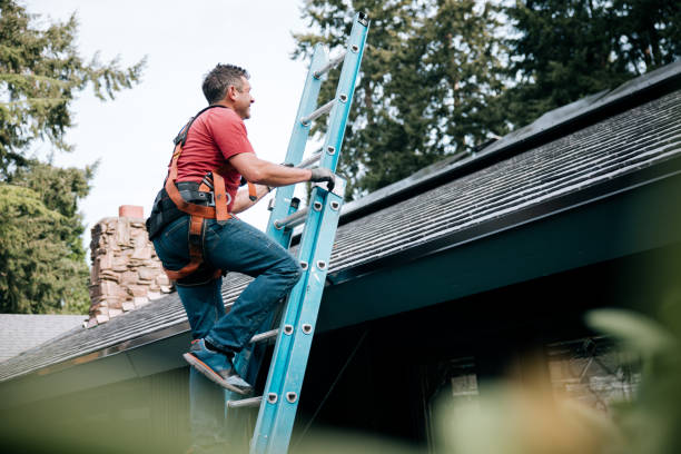 Best Solar Panel Roofing Installation  in Gustine, CA