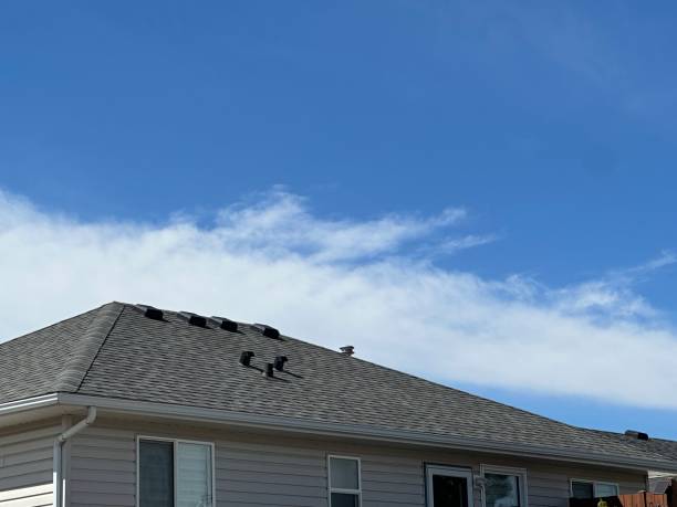 Best Skylight Installation and Repair  in Gustine, CA